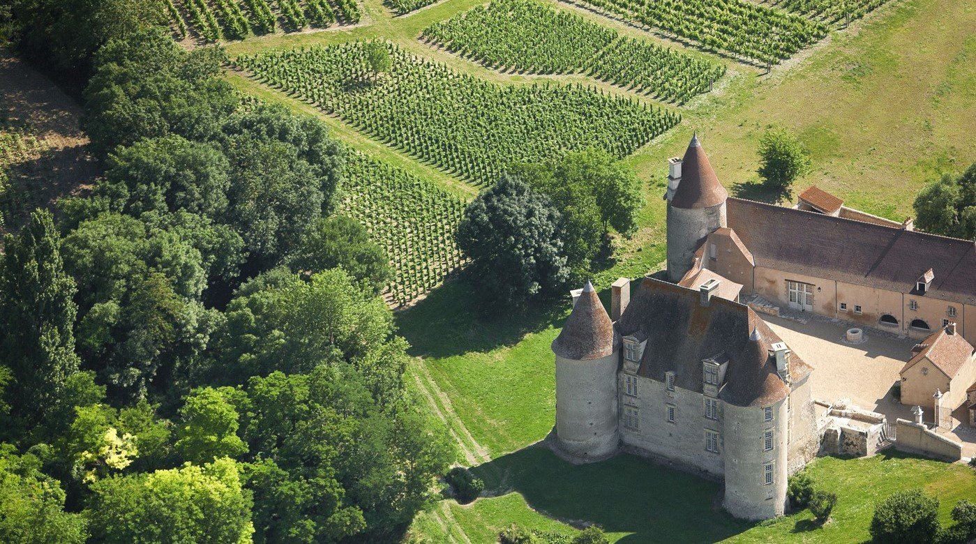 D'un chef d'oeuvre caché aux cépages oubliés